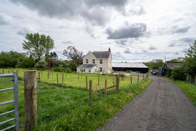 Caerennydd, Clynderwen photo 3