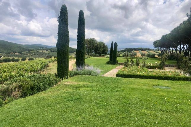 Country house for sale in Luxury Tuscan Estate With Vineyards, Massa Maritima, Tuscany