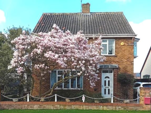 Thumbnail Detached house for sale in Dene Close, Dunswell, Hull