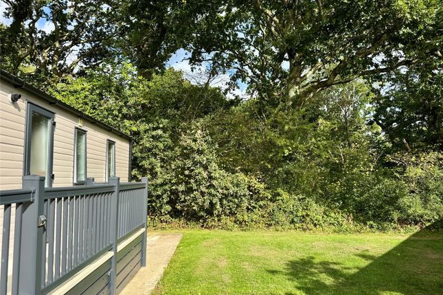 Chestnut 411,, Hoburne Bashley, Hampshire photo 3