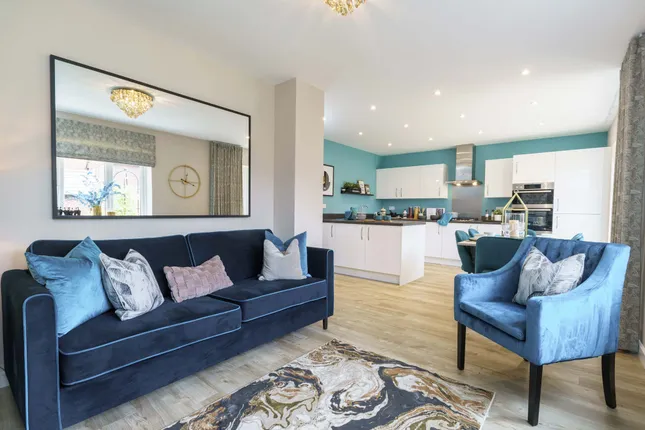 Bloor Homes - Thorsten Fields