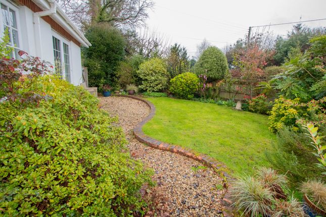 Bungalow for sale in School Lane, West Hill, Ottery St. Mary