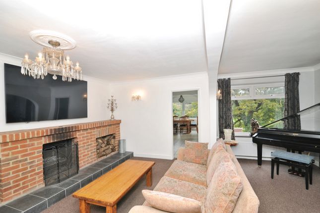 6, Woodland Way, Battle photo 4