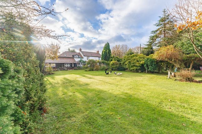 Farmhouse for sale in Holt Road, Hevingham