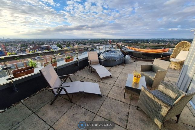 Roof Terrace