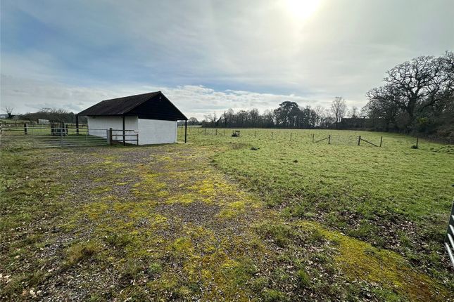 Land for sale in Ringwood Road, Burley, Ringwood, Hampshire