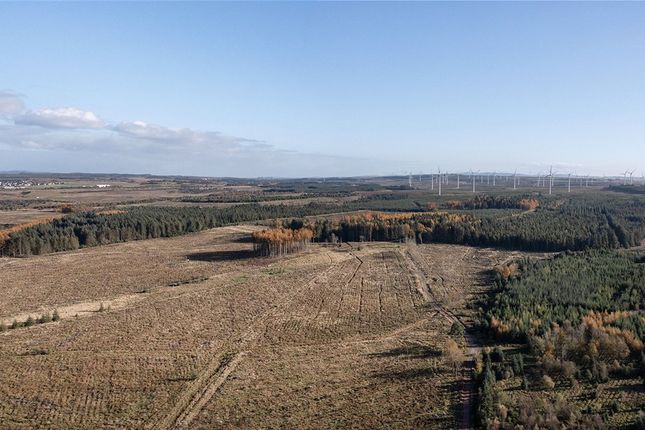 Land for sale in Dura Forest, Allanton, North Lanarkshire