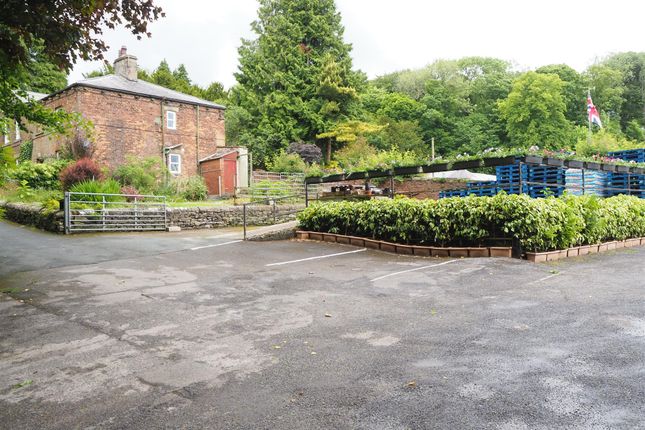 Thumbnail Commercial property for sale in Garden Centre &amp; Horticulture BD23, Gledstone, North Yorkshire