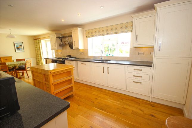 1, Springmead, Seaton photo 4
