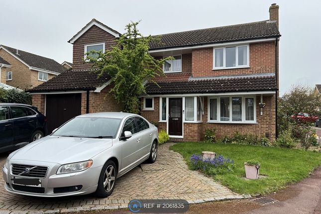 Thumbnail Detached house to rent in Chive Road, Earley, Reading