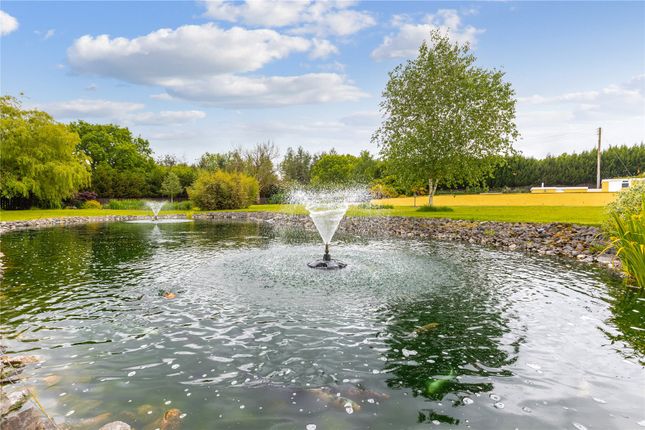 Water Feature