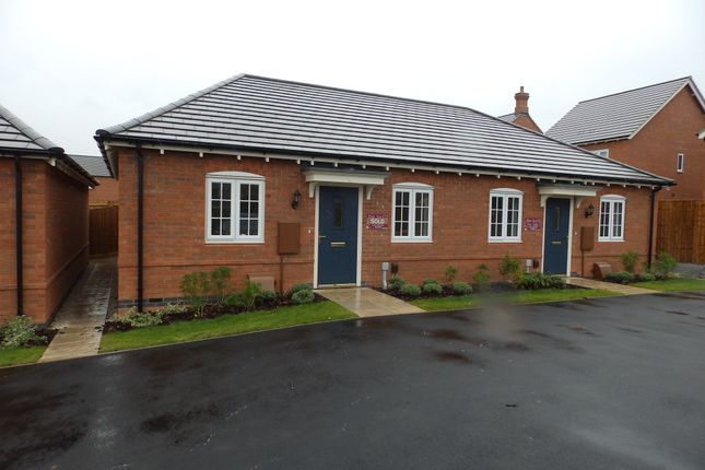 Thumbnail Semi-detached bungalow to rent in Clyde Drive, Lubbesthorpe