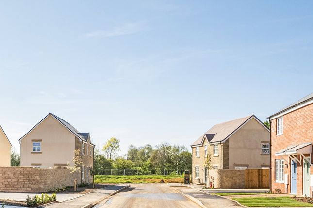 Plot 16, The Halsway, Neroche Meadows, Broadway photo 3