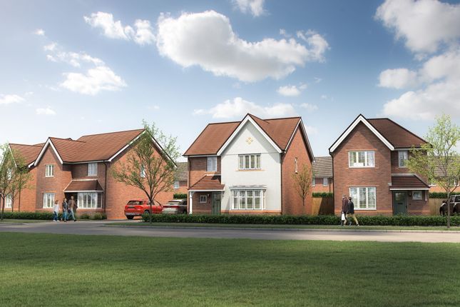 Detached house for sale in "The Gladstone" at Hookhams Path, Wollaston, Wellingborough