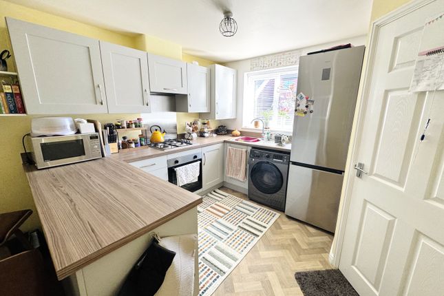 15, Sunshine Place, Hartlepool photo 3