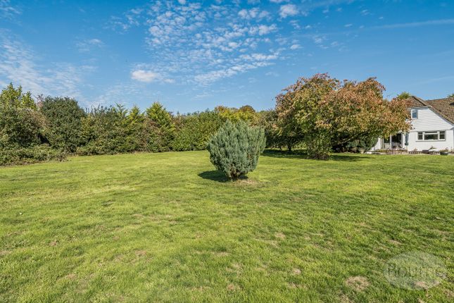 Southwood Farm,, Headmoor Lane, Four Marks photo 5
