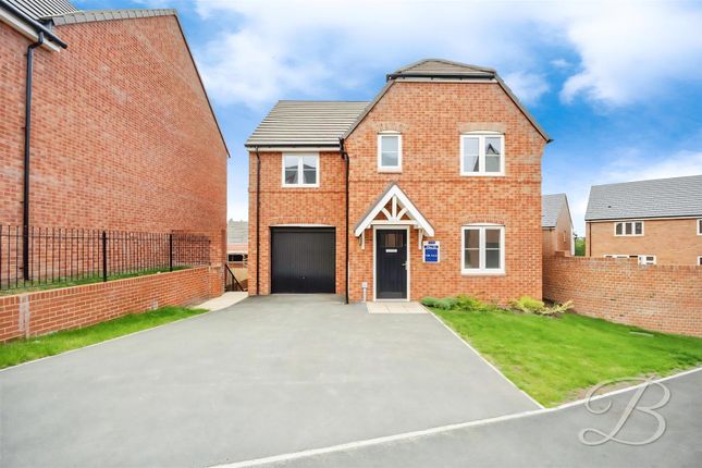 User_Edited_Photo-40738784_User-Edited-3Fde13F7-5F