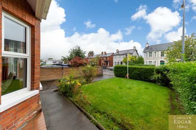 113 Ardenlee Avenue, Belfast photo 4