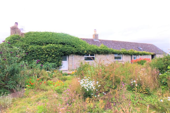 Thumbnail Bungalow for sale in Halkirk, Caithness