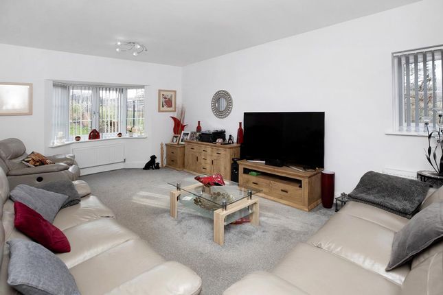 10 Magnolia Close, Dawlish photo 3