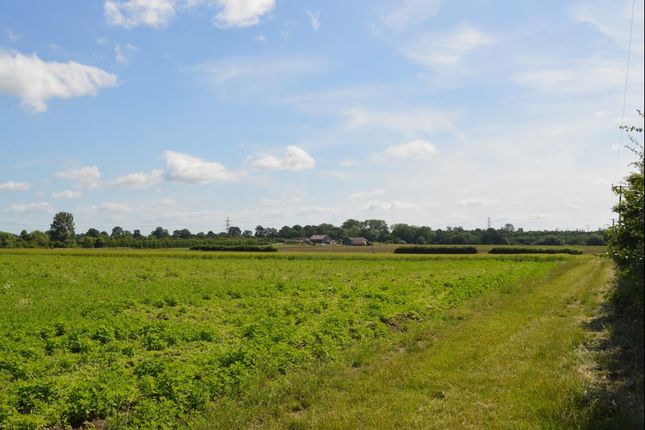 Thumbnail Land for sale in Lodge Farm, Park Farm Road, Upminster, Greater London