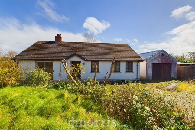 Detached bungalow for sale in Llechryd, Cardigan