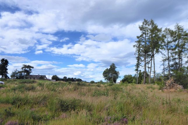 Thumbnail Land for sale in Cossack Wood, Craigellachie
