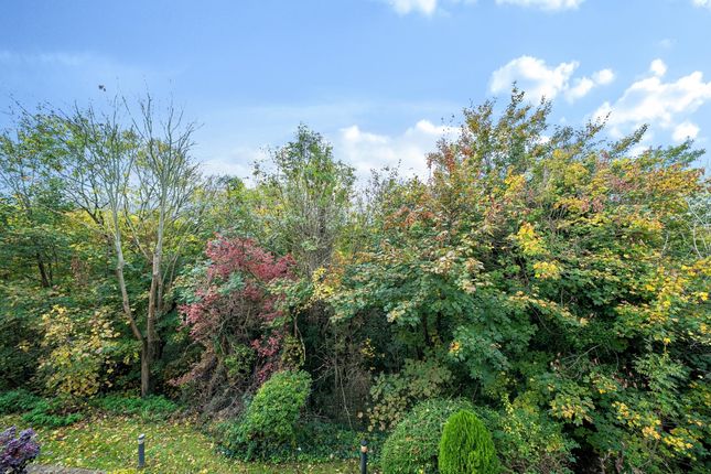 1371497-6-68F8A18...