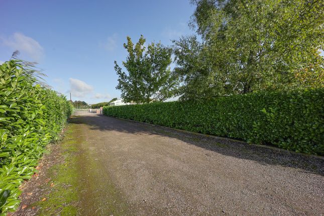 Detached bungalow for sale in Stone House Road, Upwell