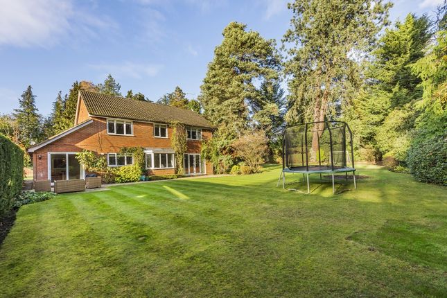Thumbnail Detached house to rent in Redwood Drive, Sunningdale, Ascot