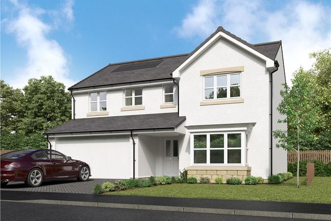 Thumbnail Detached house for sale in "Bayford" at Off Craigmill Road, Strathmartine, Dundee