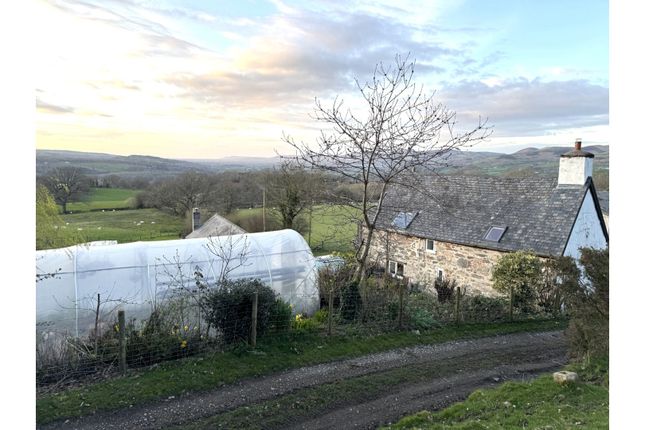 Bryn Aur, Pentre Celyn, Ruthin photo 3