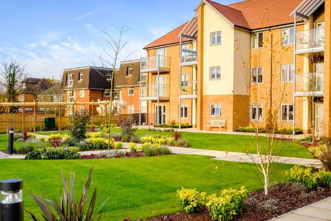 Shared Gardens
