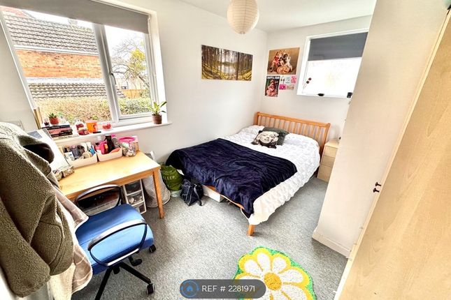 Bed 5