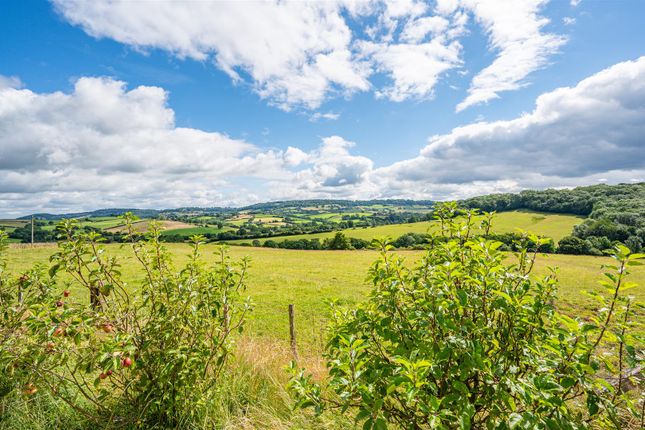 Porthvaynor Farm, Llangwym, Usk photo 5