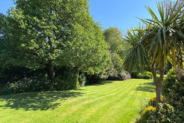 Carlton Park, Bickwell Valley, Sidmouth photo 2
