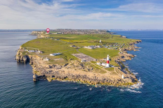 Portland View Shot 2.Png