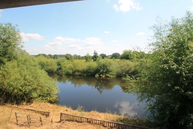 Almere Ferry Farm, Trevalyn, Wrexham photo 5