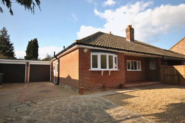 Semi-detached bungalow to rent in Sandy Lane, Taverham, Norwich