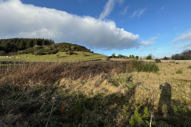 Fullerton Place, South Ayrshire photo 4