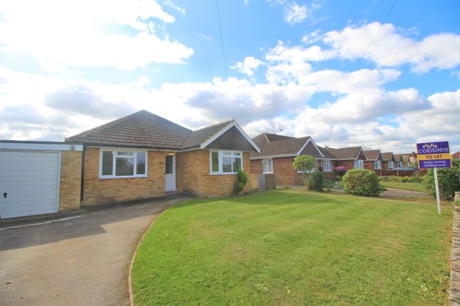 Detached bungalow to rent in Littlefield Way, Fairlands, Guildford