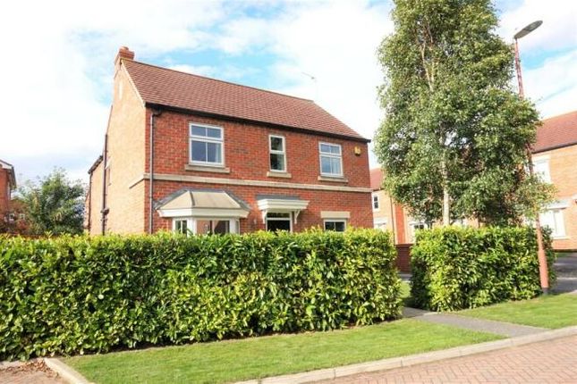 Thumbnail Detached house to rent in Chestnut Way, Selby