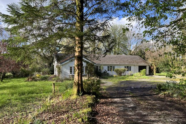 Detached bungalow for sale in Salem, Llandeilo