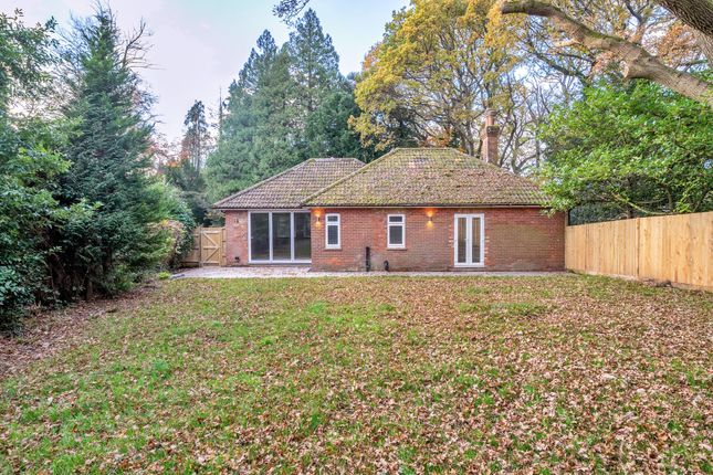 Merrywood Lodge Merrywood Lane, Pulborough photo 4