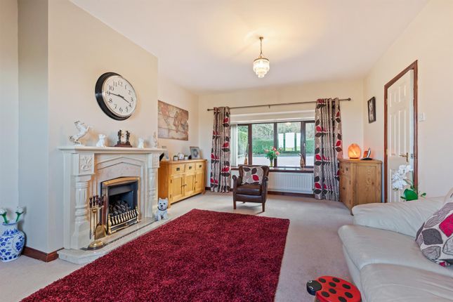 9, Woodridge, Ballynahinch photo 3