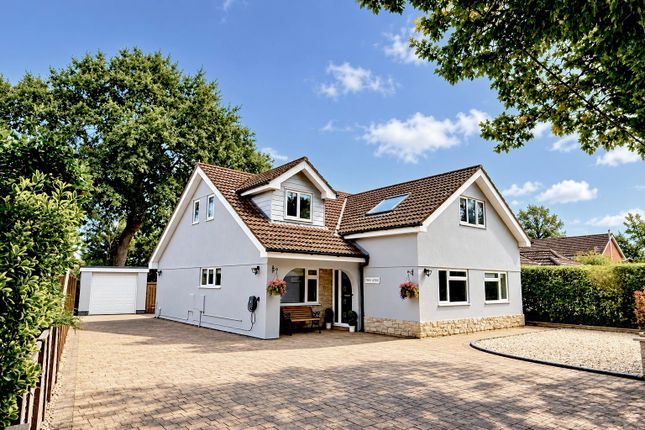 The Grove, VERWOOD photo 2