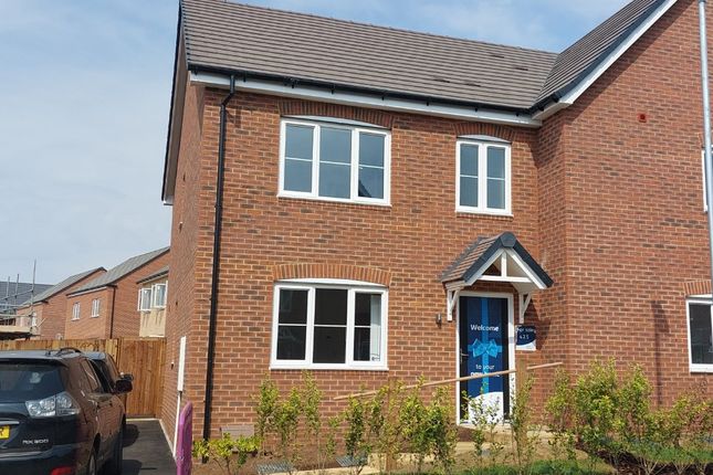 Thumbnail Semi-detached house to rent in Morus View, Wellingborough