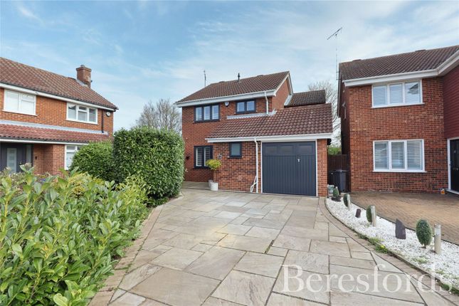 Thumbnail Detached house for sale in Martingale Drive, Chelmsford