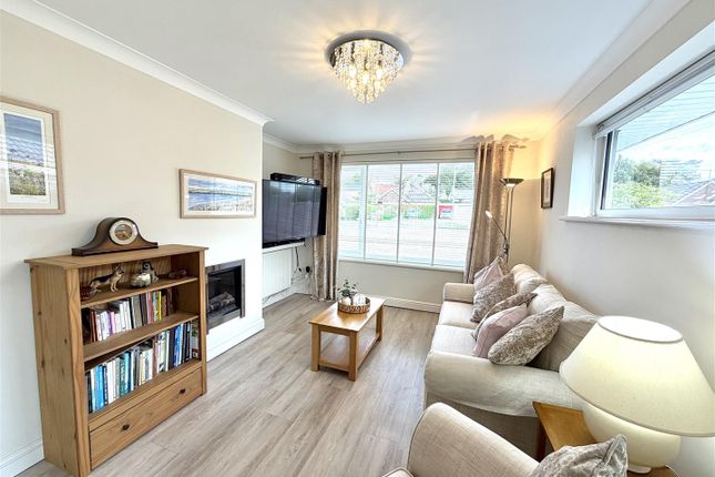 19, Glyn Place, Shaftesbury photo 3