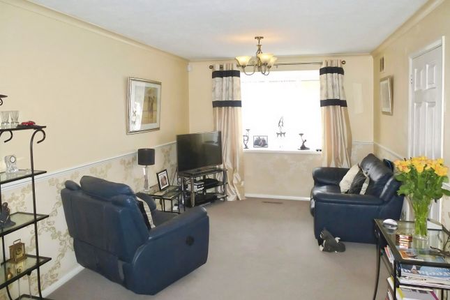 49, Peterborough photo 3